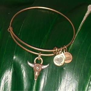 Alex and Ani Spirited Skull Bracelet